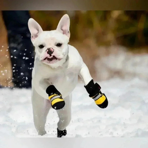 Champion Dog Booties Yellow Nylon and Black Leather   Velcro Reflective Tape NEW - Picture 1 of 6